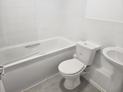 Picture 4
